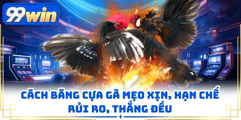 Cách Băng Cựa Gà Mẹo Xịn, Hạn Chế Rủi Ro, Thắng Đều
