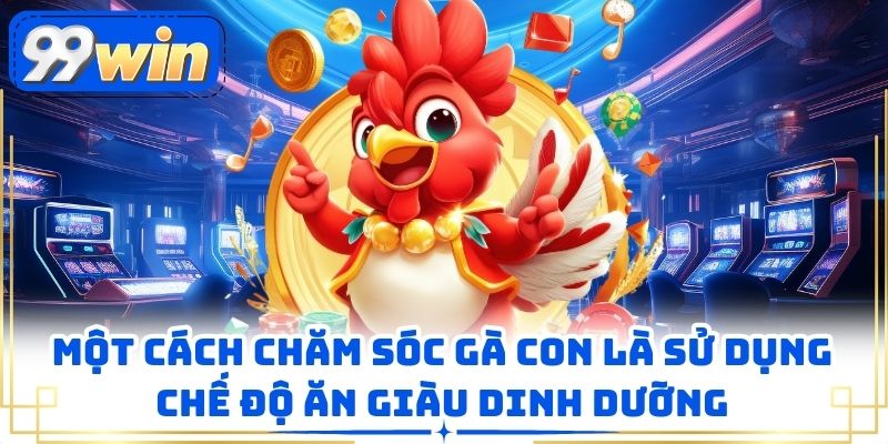 Một cách chăm sóc gà con là sử dụng chế độ ăn giàu dinh dưỡng