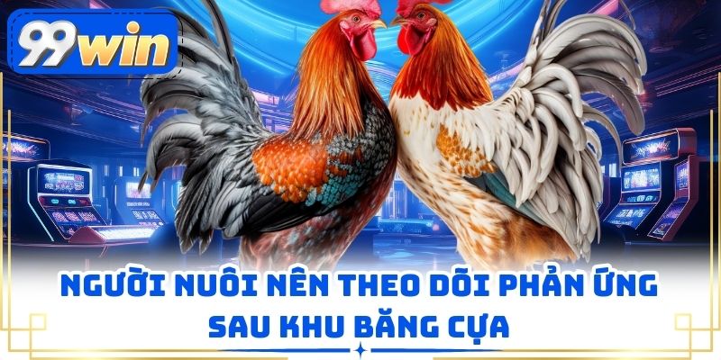 Người nuôi nên theo dõi phản ứng sau khu băng cựa